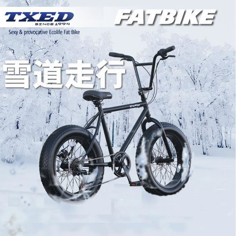 送料無料】ファットバイク ビーチクルーザー 自転車 20インチ 前後 