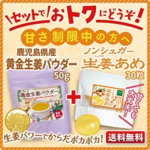 生姜 パウダー 50g 送料無料 ジンジャー 粉末 50g シュガーレス生姜 飴 30粒 2種セット