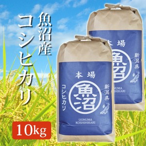 新米 令和5年産 魚沼産コシヒカリ 玄米 10Kg (10キロ)  5kg×2袋 2023年度産 米 こしひかり 玄米 玄米 魚沼産 コシヒカリ