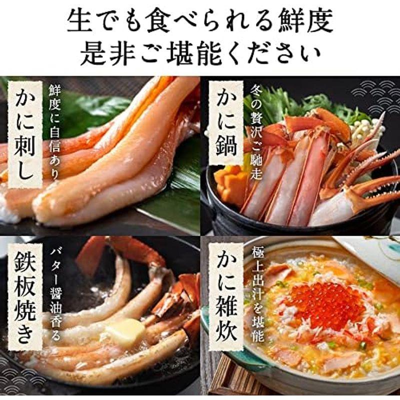 まるごと越前 生紅ずわいがに 600g カット済みポーション カニ鍋 かに刺し 生食OK お歳暮