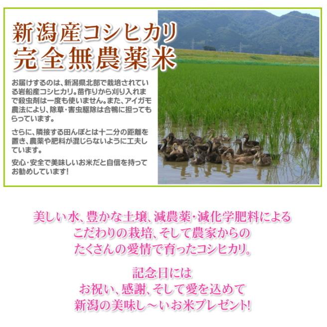 記念日 プレゼント お米 2kg 農薬不使用 希少米 コシヒカリ 無洗米 新潟米 産地直送 人気 おしゃれ お祝い 誕生日 退職 結婚記念 送料無料