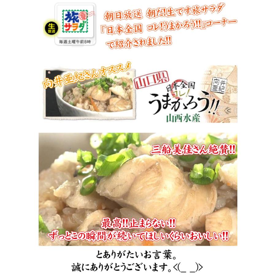 とらふぐ刺身・真ふぐ鍋・ご飯セット2-3人前 ふぐ フグ 母の日 父の日 鍋 てっちり ふぐセット 送料無料 ふぐ鍋 お歳暮 お中元 ギフト