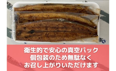 うなぎ 浜名湖 蒲焼き 5本 タレ 山椒 お吸い物 セット 国産 鰻 浜名湖うなぎ 浜名湖産 蒲焼 真空パック 惣菜 おかず ごはんのお供 魚 魚介 魚介類 加工食品 静岡 湖西市 湖西