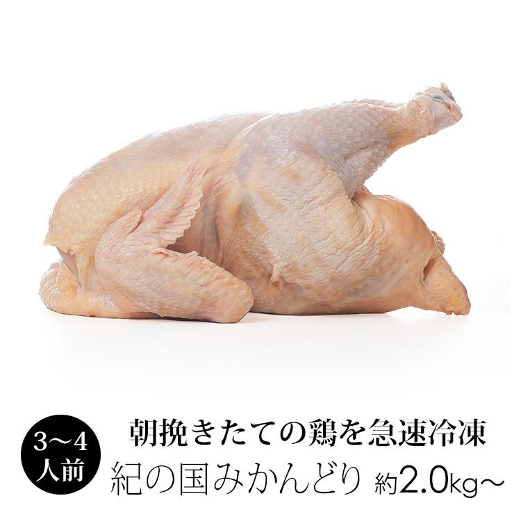 丸鳥 紀の国みかんどり 中抜き 丸鶏 1羽 中サイズ 約2kg〜2.4kg (冷凍) 国産 鶏肉 クリスマスに