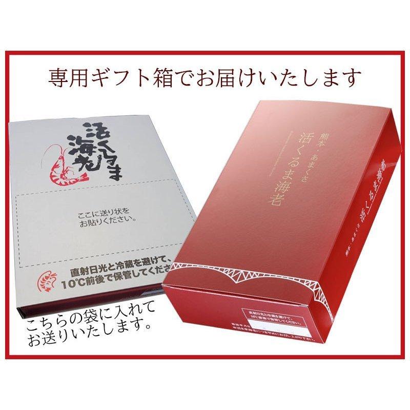 熊本天草産 車海老 お刺身用 養殖 1kg(23~29尾前後） 丸山水産 お歳暮 贈答品 ギフト