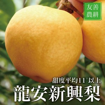 【十翼饌選果】龍安果園 特選LV等級新興梨 經典提盒6顆/7台斤x2盒(光波水梨/產地直送/送禮)