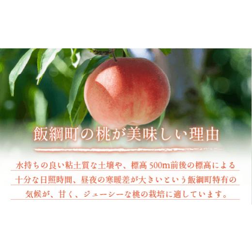 ふるさと納税 長野県 飯綱町 桃 5kg 訳あり 先行予約 2024年 秀品 《品種おまかせ「 白鳳 」「 あかつき 」「 なつっこ 」いずれか1品種》 光センサー選別品 …