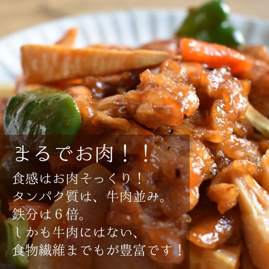 大豆ミート  ソイプロテイン 食物繊維 イソフラボン グルテンフリー ダイエット 大豆 