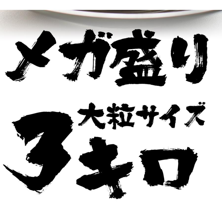 訳あり 生ほたて貝柱 3kg 大玉 ほたて ホタテ 帆立 生食用 刺身用 在宅応援 お歳暮 ギフト 海鮮グルメ 北海 母の日 父の日 敬老