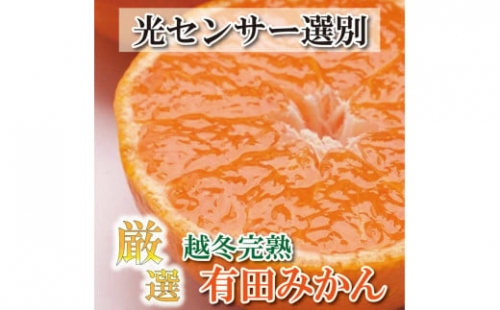 ＜先行予約＞家庭用　越冬完熟みかん3kg 90g（傷み補償分）| 蜜柑 オレンジ 柑橘 産地直送※2024年1月中旬～2月下旬頃に順次発送予定 ※北海道・沖縄・離島への配送不可