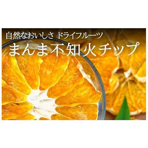 ふるさと納税 和歌山県 有田川町 ドライフルーツ しらぬいチップ 100g 20g × 5袋 和歌山県産 果物使用 自社製造 