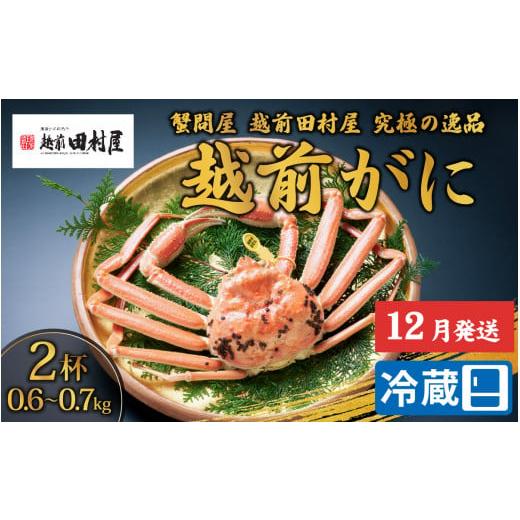 ふるさと納税 福井県 福井市 越前がに（ズワイ） 0.6-0.7kg 2杯セット  [L-029027]