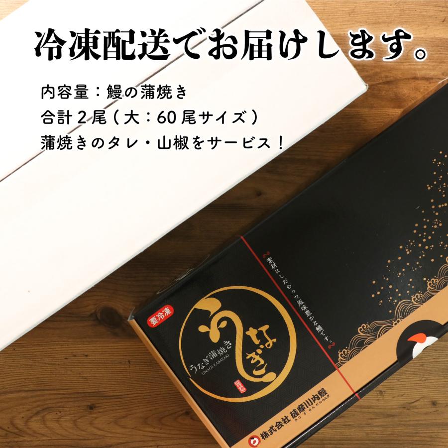 鹿児島県産鰻長蒲焼セット2尾 無頭長蒲焼き真空(添付タレ山椒付×2・しおり１枚）