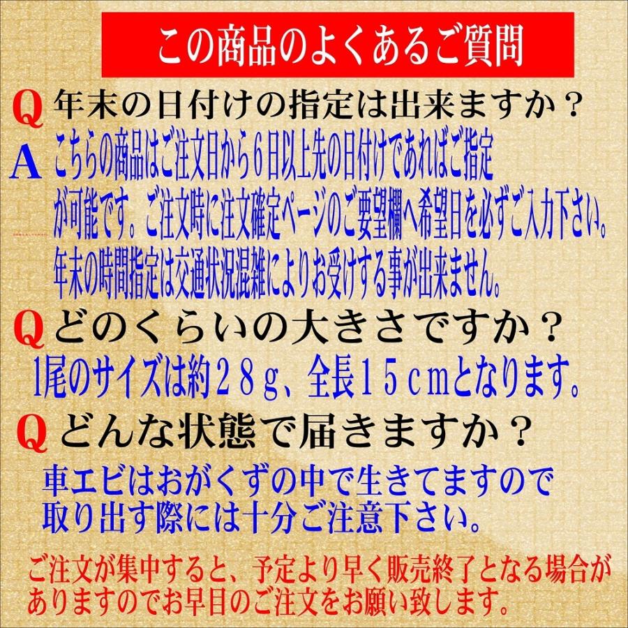 熊本天草産 車海老 お刺身用 養殖 700g(23から28尾前後） 丸山水産 お歳暮 贈答品 ギフト