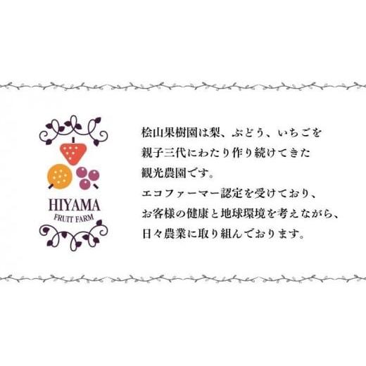 ふるさと納税 茨城県 桜川市  茨城県品種 いばらキッス  2パック × 1箱 （茨城県共通返礼品／常陸太田市） フルーツ 苺 イチゴ…