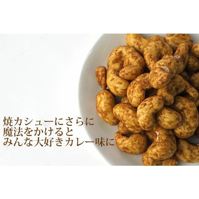 カレーカシュー 95g×4個 北海道 池田食品 カシューナッツ おつまみ 豆菓子 食べきりサイズ  常温 送料無料 ポスト投函