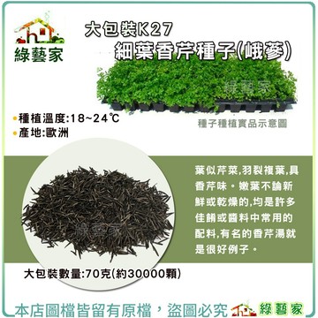 大包裝K27.細葉香芹種子(峨蔘)70克(約30000顆)  歐芹 洋香菜 香草種子【綠藝家】