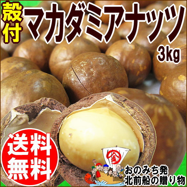 マカダミアナッツ 殻付き 3kg ナッツ パルミトレイン酸