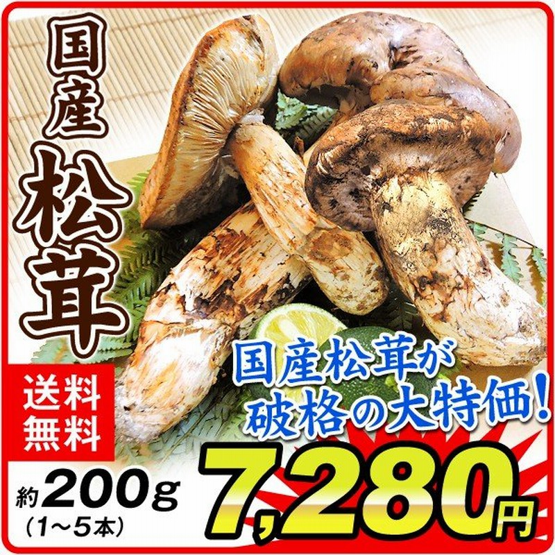 松茸 約150g 石川 長野産 国産 松茸 1 6本 1箱 ご家庭用 送料無料 まつたけ 開き 食品 野菜 国華園 通販 Lineポイント最大0 5 Get Lineショッピング