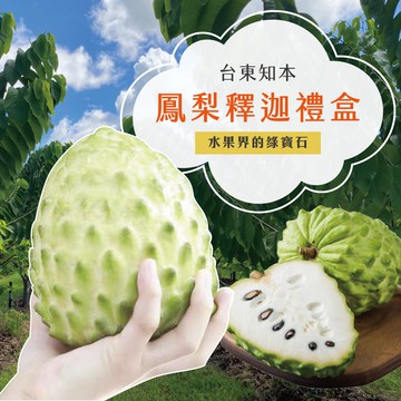 【初品果】台東知本鳳梨釋迦禮盒含箱重5斤x2盒_1/10開始陸續出貨.周五-周日及例假日前一天不出貨