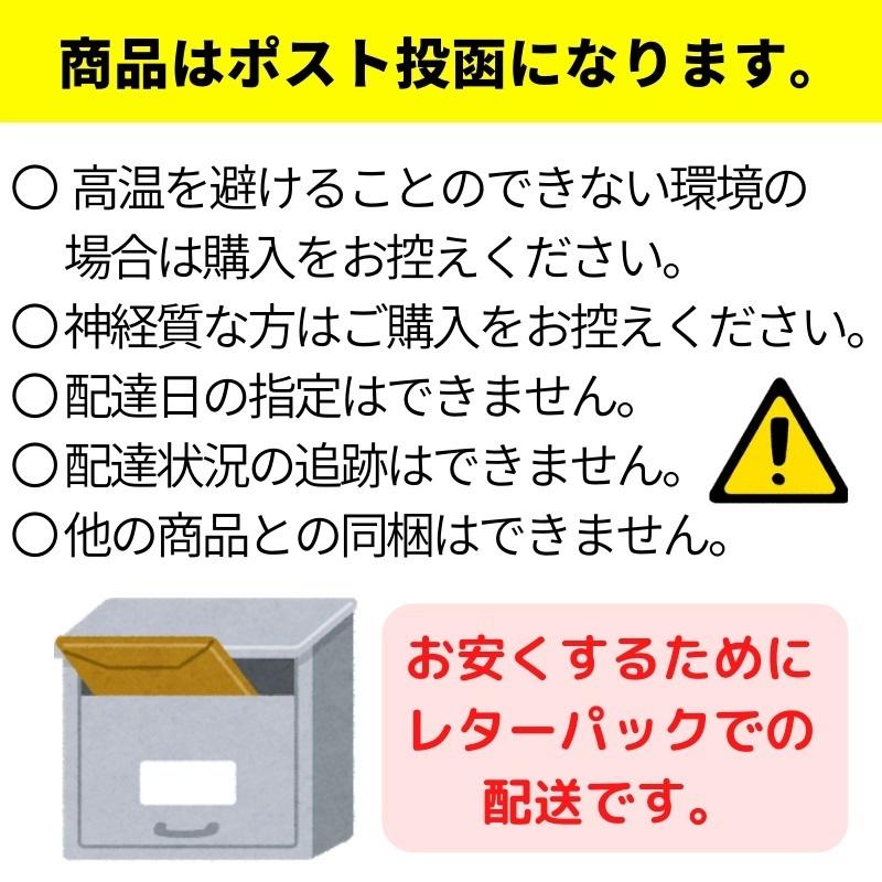 生 わかめ 鳴門産 2袋 (1袋250g入り)  おひたし、サラダ、酢の物、味噌汁に