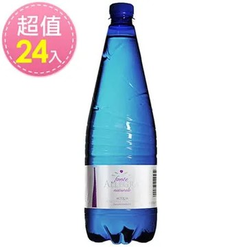 亞莉佳 義大利 亞莉佳氣泡礦泉水 1000ml*24瓶