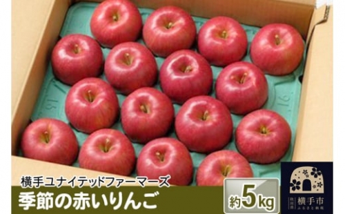 季節の赤いりんご 約5kg