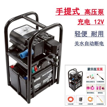 手提式雙核泵12V大電瓶園藝霧化高壓管三缸隔膜泵小型電動噴霧器