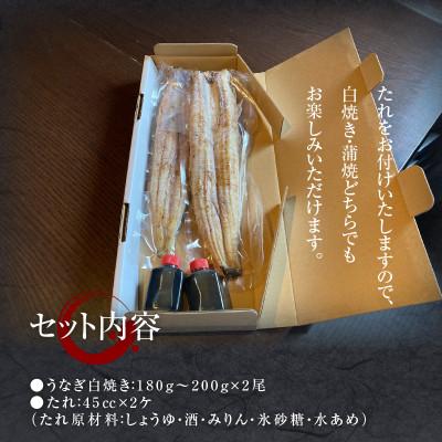 ふるさと納税 木城町 宮崎県産うなぎ(白焼き)2尾セット