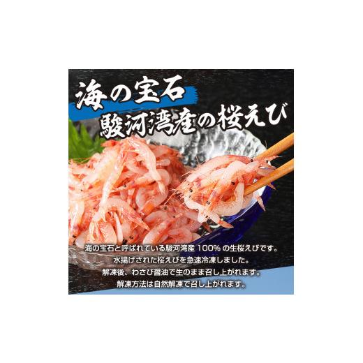 ふるさと納税 静岡県 焼津市 a10-420　静岡県漁連 お刺身用生桜えび