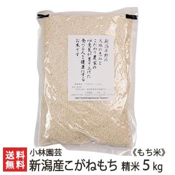 新潟産こがねもち（もち米）精米5kg 小林園芸 送料無料