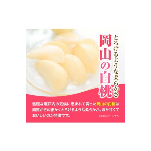 ふるさと納税 岡山県 浅口市 白桃 岡山 8玉 ウィズフラワーホールディングス《7月上旬-9月上旬頃出荷》岡山県 浅口市 桃 もも フルーツ 旬 …