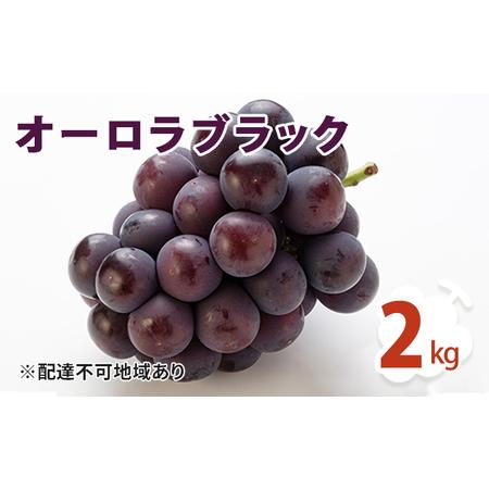 ふるさと納税 オーロラブラック 2kg ぶどう 葡萄 フルーツ 果物 岡山県 岡山県産 2024年 先行予約 岡山県美咲町