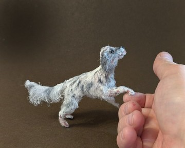 英國塞特犬。