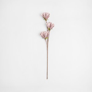 Flora芙蘿拉花插  甜筒花 粉