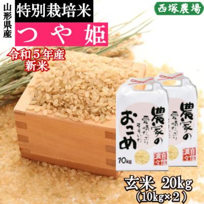 ふるさと納税 最上町 令和5年産 新米 特別栽培米つや姫　玄米 20kg　山形県産　西塚農場のお米