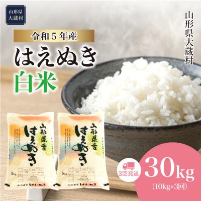 ふるさと納税 大蔵村 令和5年産 はえぬき30kg定期便(10kg×3回)　山形県大蔵村