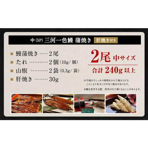 ふるさと納税 愛知県 幸田町 中(5P) 三河一色 鰻蒲焼き 2尾 (240g以上) (肝焼き付き)  うなぎ 鰻 蒲焼 丑の日 土用の丑の日