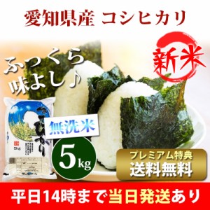 新米 米 無洗米 5kg 愛知県産 コシヒカリ 令和5年産 お米 5kg プレミアム特典 送料無料 北海道・沖縄配送不可 即日発送 クーポン対象 5キ