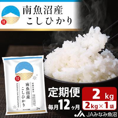 ふるさと納税 南魚沼市 南魚沼産こしひかり 精米 2kg全12回