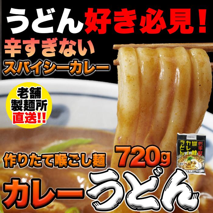 送料無料 カレーうどん 4食(180g×4) レンジで簡単 さぬきうどん 1000円以下 お試し ポイント消化(発送遅いです) TEN