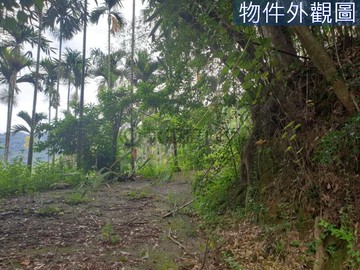 浪漫臺三線苗栗獅潭千坪林業不用200萬｜苗栗縣獅潭鄉和興