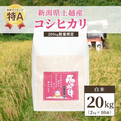 ふるさと納税 上越市 令和5年 新潟上越産「標高480mの山間地で育てた