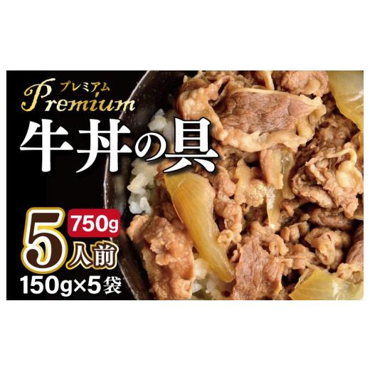 ふるさと納税 大阪府 泉佐野市 牛丼の具 小分け 150g×5袋 レンジ対応 簡単調理