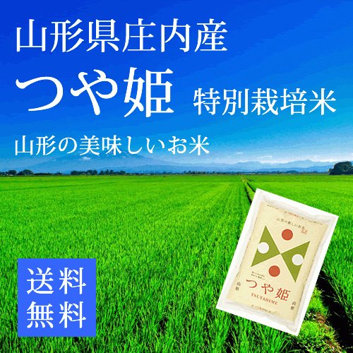 新米 つや姫 白米２ｋｇ 山形県庄内産 特別栽培米 令和5年産