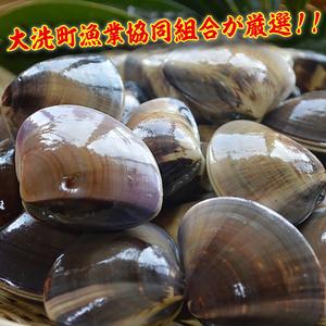 ふるさと納税 大洗産鹿島灘天然はまぐり 2kg 冷蔵 お吸い物 ハマグリ 蛤 貝 砂抜き処理 魚介類 大洗産 天然 はまぐり 茨城県大洗町