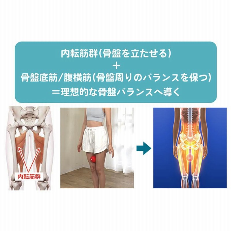シェイプツインボール / 骨盤 腹筋トレ ストレッチ ルネサンス