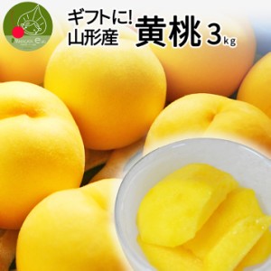  山形県産 秀品 黄桃 3ｋｇ（10～16玉前後） クール便 化粧箱入り 山形県から産地直送 硬い桃 黄桃 黄金