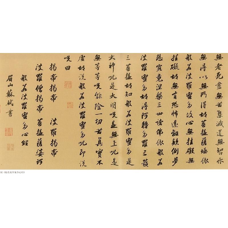 蘇軾行草書　中国歴代書法名家写心経放大本系列　中国語書道 #33487;#36732;行草#20070;　心#32463;