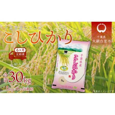 ふるさと納税 ＜6ヶ月定期便＞千葉県産エコ米「コシヒカリ」5kg×6ヶ月連続 計30kg 千葉県大網白里市